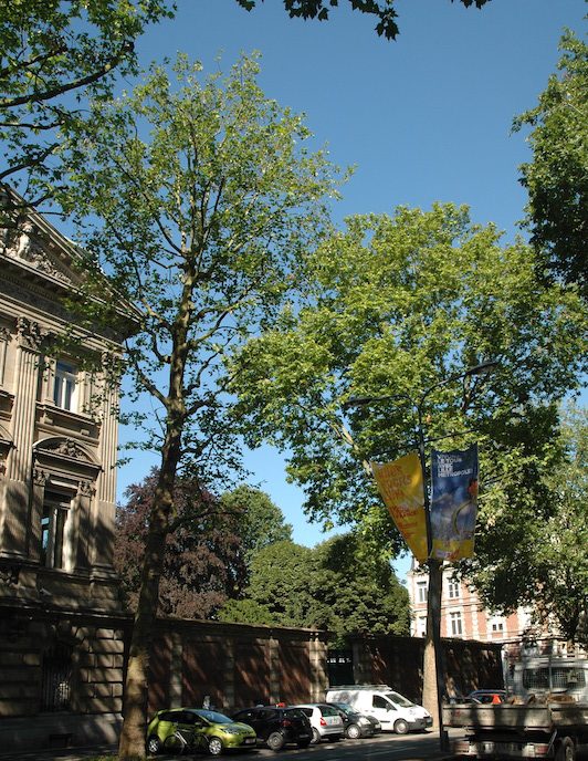 Lille_Bd Liberté