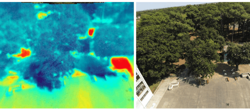 Cartographie thermique infrarouge et vue aérienne d'un espace boisé, mettant en évidence le contraste de température entre canopée et sols minéraux